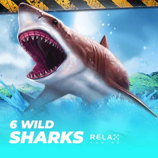 6 Wild Sharks